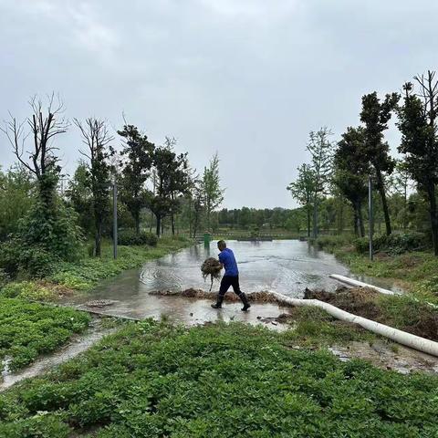 雨中的那一抹蓝和灰