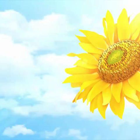 上栗尚栗艺术学校走进长平乡敬老院