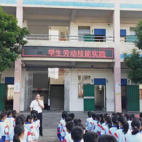 化州市丽岗镇朱玉小学开展包饺子劳动实践活动