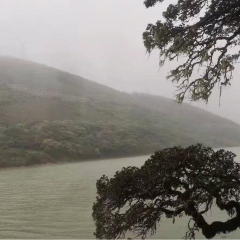 马耳烟雨 秦玉海