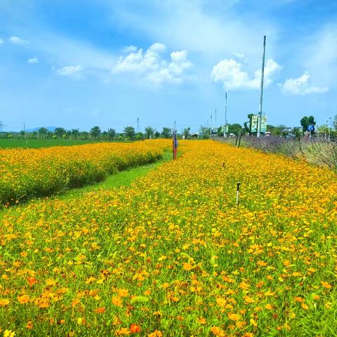 真心对待生活和自己