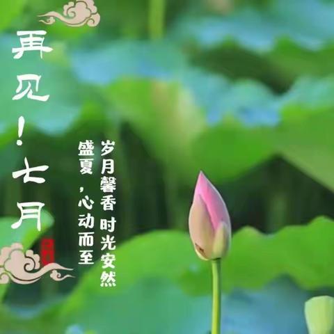 山水秋鸣物业服务中心 7月工作月报