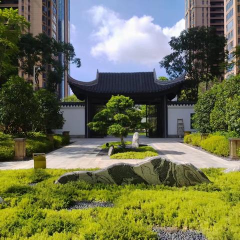 山水秋鸣2025年8月工作简报