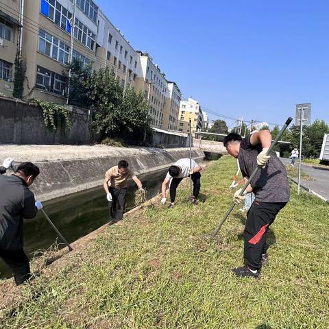 光华路街道：清理河道沿岸垃圾，守护水清岸绿