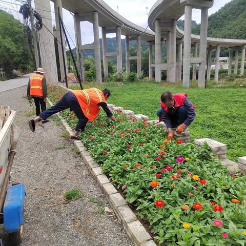 河口镇核桃坝村：人居环境大整治  乡村颜值再提升