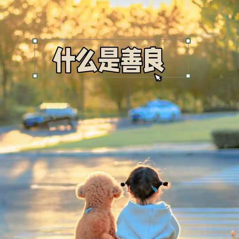 KD组11月份主题26项品格         之《善良》《怜悯》