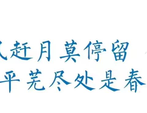 汶川县第一小学校                                ————第十六周工作侧记