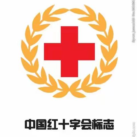 通化师范学院分院 通化农业学校红十字会成立大会