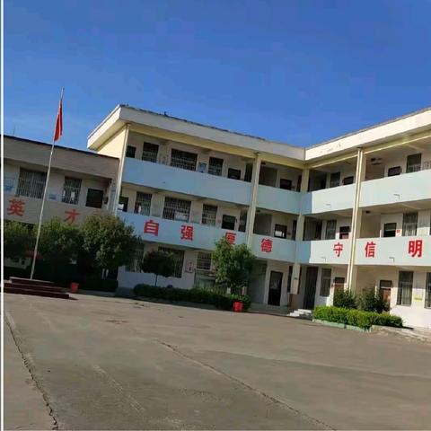 倾心相伴，助苗成林——蟒川镇半西小学的成长画卷