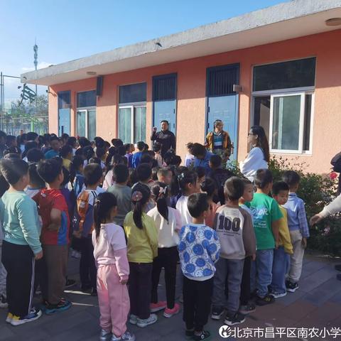 南农小学附属幼儿园            “种子成长记”探索种子的奥秘