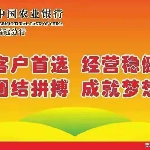 连南支行开展节前金融知识宣教活动