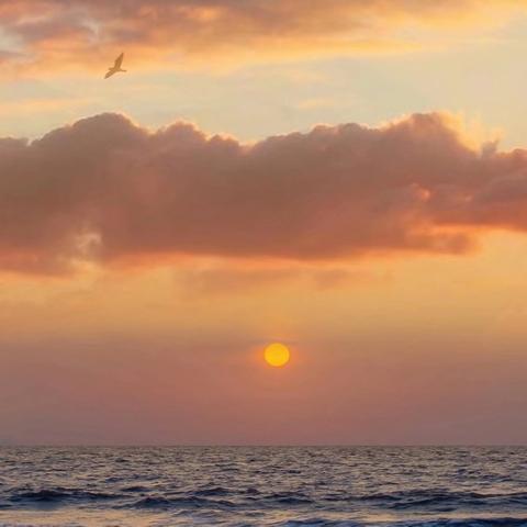 多彩十一月🍁快乐“美”一天 ——大班