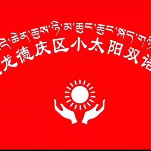 堆龙德庆区小太阳双语幼儿园中科园区大一班《我是中国人》主题教学总结