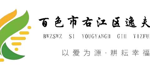 闯关展智慧，游走促双减——百色市右江区逸夫小学2023年春季学期一、二年级期末游考