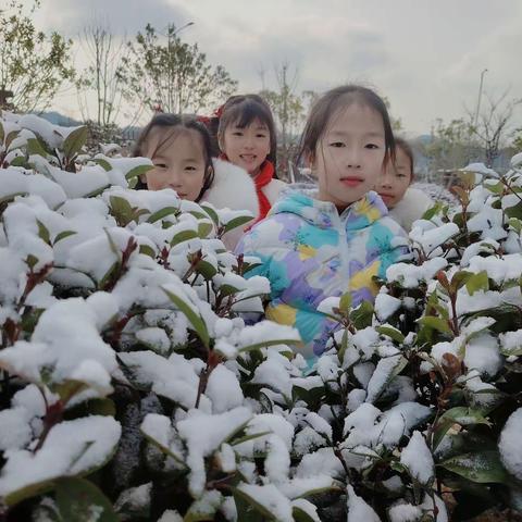 一场雪，一首诗，一份喜 一一 第七小学一（7）班小诗集