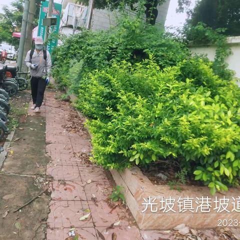 【2023年7月17日】广东碧浪害虫防治有限公司在陵水县光坡镇开展病媒生物防治工作