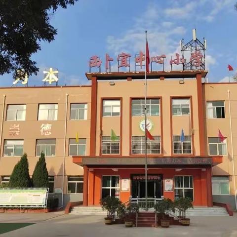 跳绳比赛 |砥砺前行 在跳跃中闪耀——辛安店小学2023年11.15日跳绳比赛