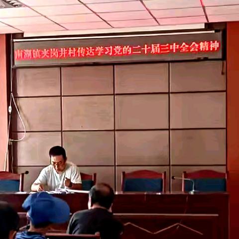 南湖镇夹岗井村学习传达党的二十届三中全会精神