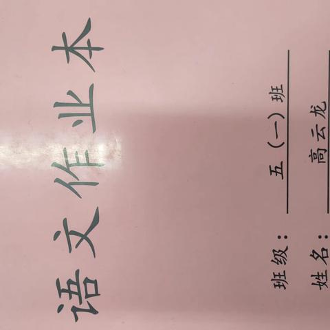 高云龙 二小成长记