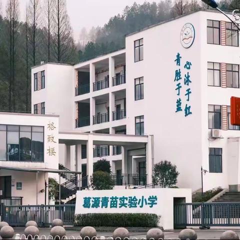 行稳致远，厚积薄发——记葛源青苗实验小学语文素养大赛