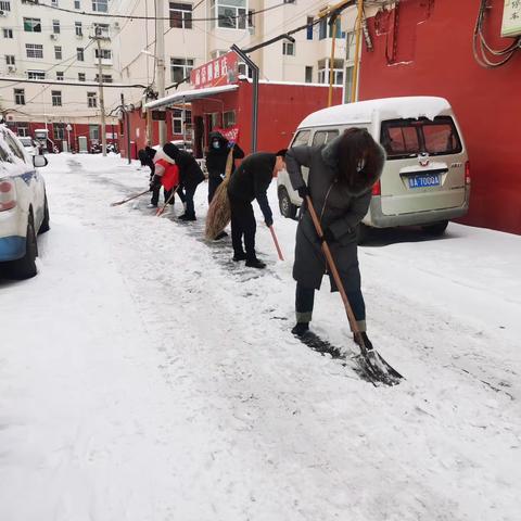 以雪为令!闻雪而动