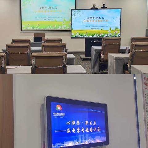 精准辅导“定制化”   税企服务“暖人心”     ——海口综保区税务局开展“心服务 新发展”数电票专题培训