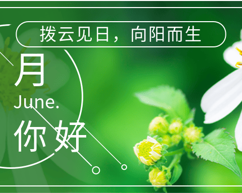 引镇初中关于学生玩“烟卡”游戏倡议书