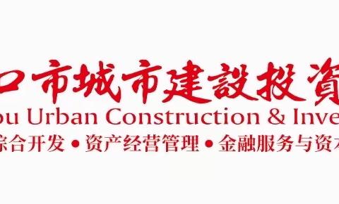 市城投公司党委组织开展学习贯彻习近平新时代中国特色社会主义思想主题教育专题宣讲