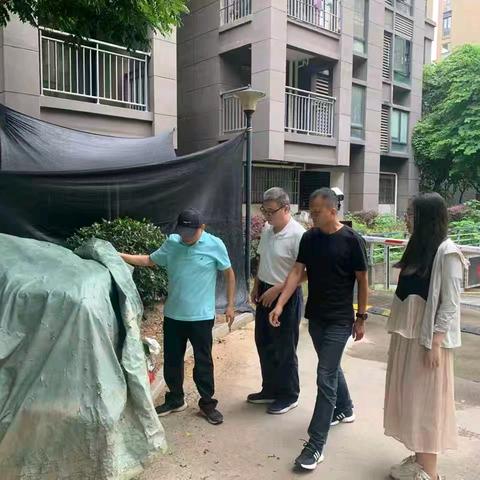 闻“汛”而动 筑牢物业小区汛期安全防线