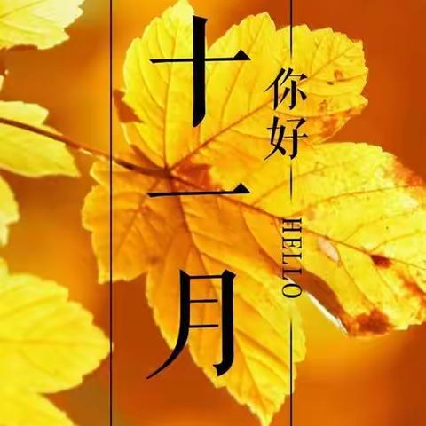 翰林苑十一月份工作简报