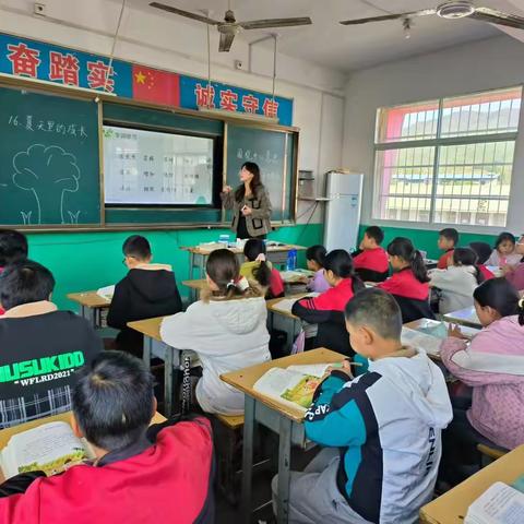 上集镇西坪头小学：联合教研  携手共进