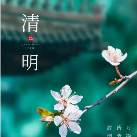 🍀传承美德，知清明🍀——新县金盛幼儿园清明节系列主题活动