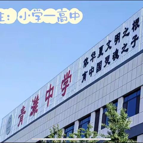 青潍学校招生啦