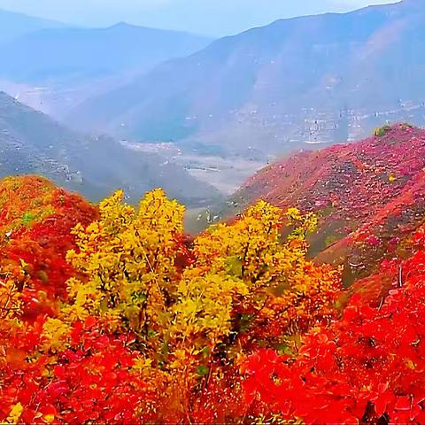 聚焦大单元教学   凸显思政育人价值——黎城县思政工作室开展大单元课堂教学研讨活动