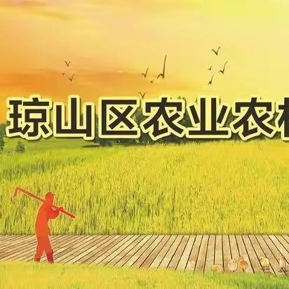 琼山区农业农村科学研究所到龙塘镇举办撂荒地图斑核实工作培训会