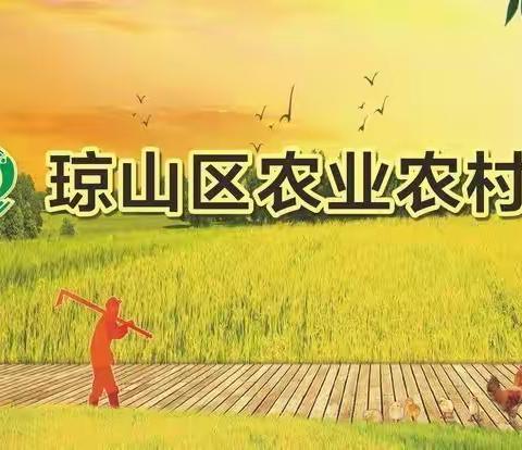 琼山区农业农村科学研究所开展禁毒宣传活动