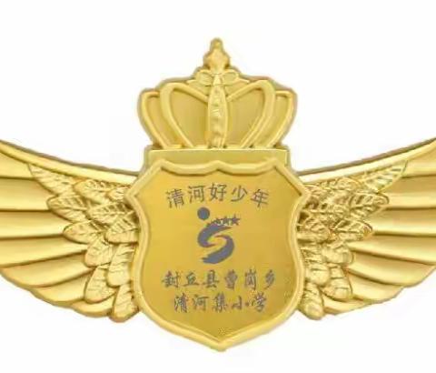 榜样力量  引领前行 曹岗乡教育集团清河集小学 “清河好少年”——许诗雅