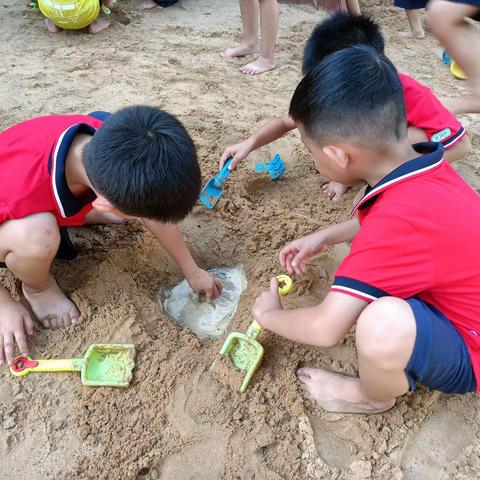 大三班科学活动：沙与水