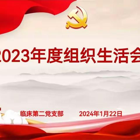 2023年组织生活会