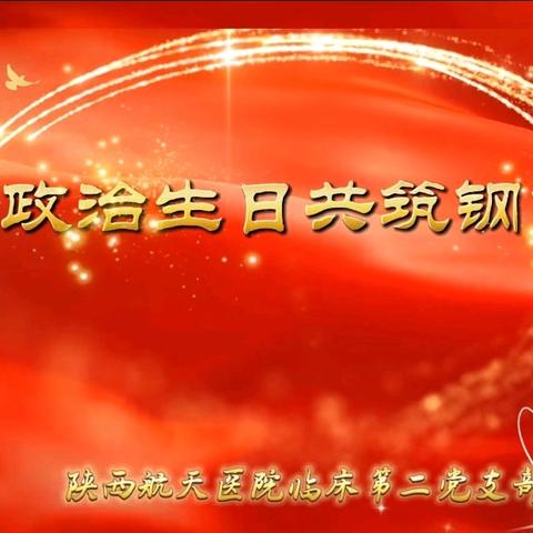 同过“政治生日” 共筑钢铁信仰主题党日活动