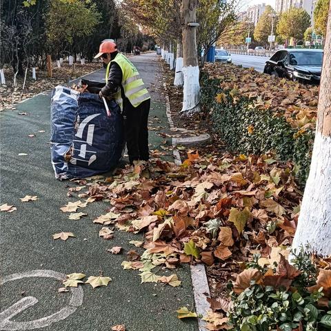 轩昂环卫