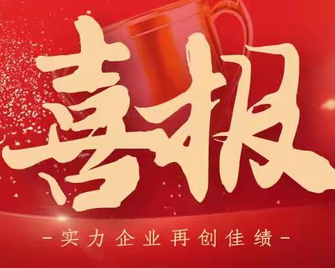 【荣誉满载，砥砺前行】 大庄镇人民政府2024成绩单发布！