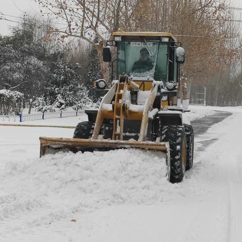 闻雪而动战严寒 撒盐除冰保出行