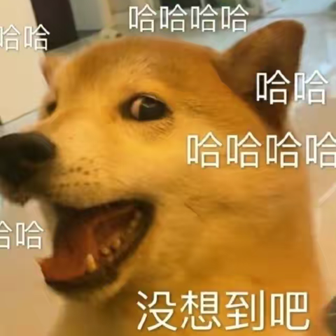 狂犬病的知识