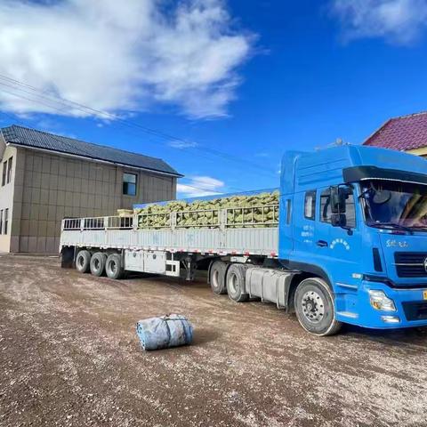 帮扶捐赠暖心煤 护航师生度冬季