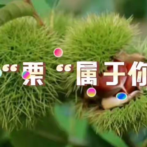 🌻Miss沈🌻的简篇