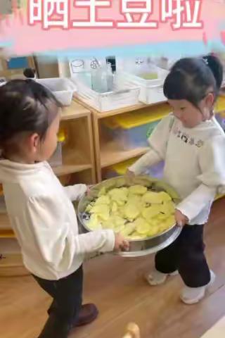 🌻Miss沈🌻的简篇