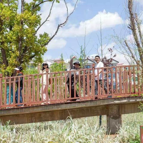 聚力向新启征程 奋楫扬帆谱新篇——昭通分行成功举办"聚力向新，奋斗2026"春游团建活动