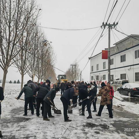 提升人居环境，共建美丽乡村 临淇镇社书村——持续推进生态宜居星