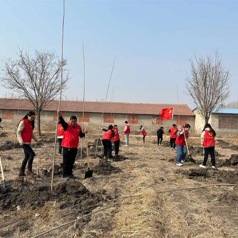 汇聚青春力量，共建生态林仓 ——林南仓镇青年干部义务植树活动